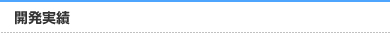 開発実績